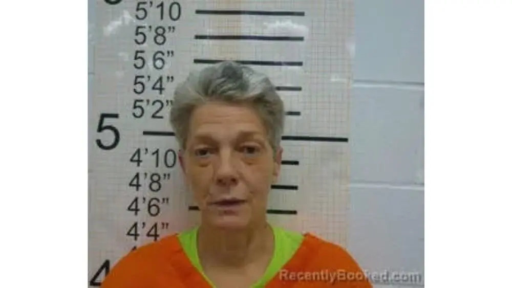 untitled-design-16-2