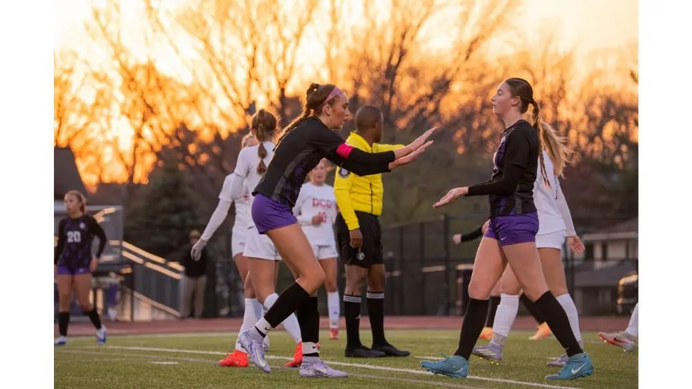 untitled-design-17-2