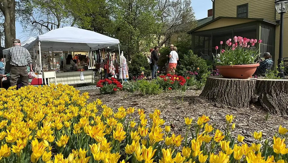 screenshot-2026-04-17-052510