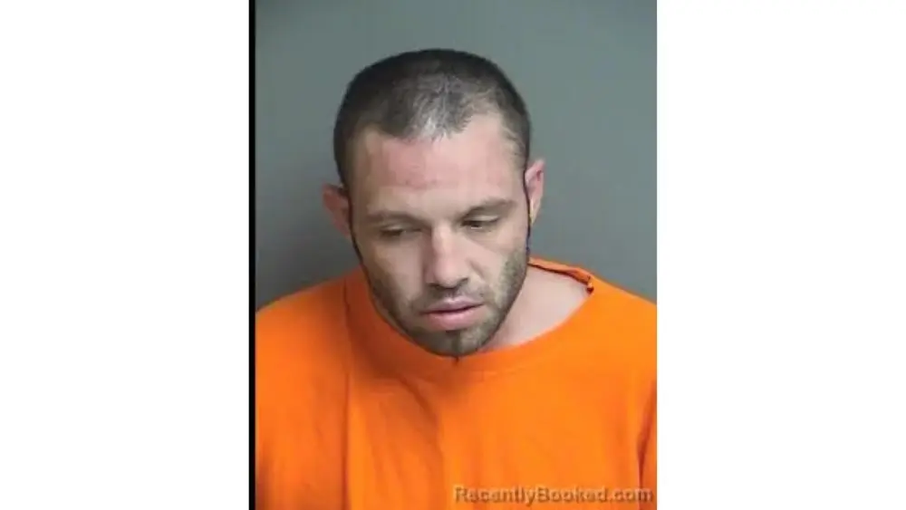 untitled-design-18-2