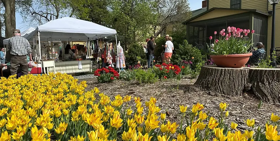 screenshot-2026-04-23-050757