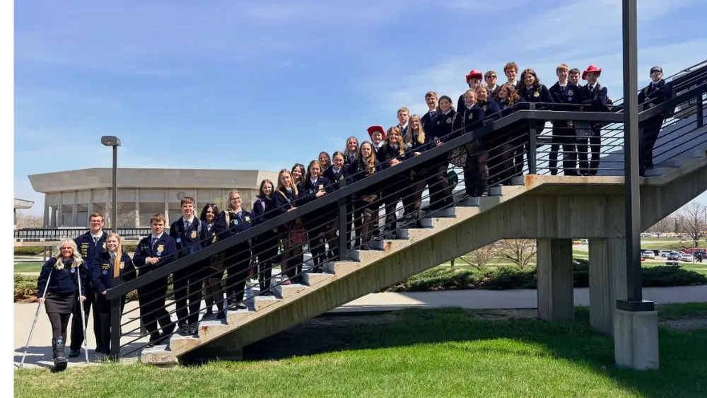 untitled-design-28-2