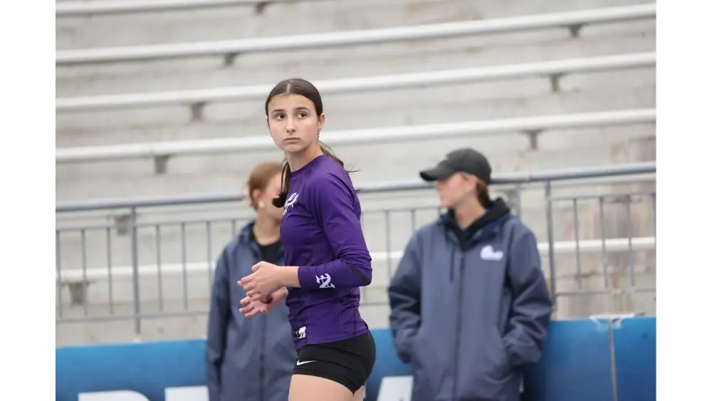 untitled-design-29-2