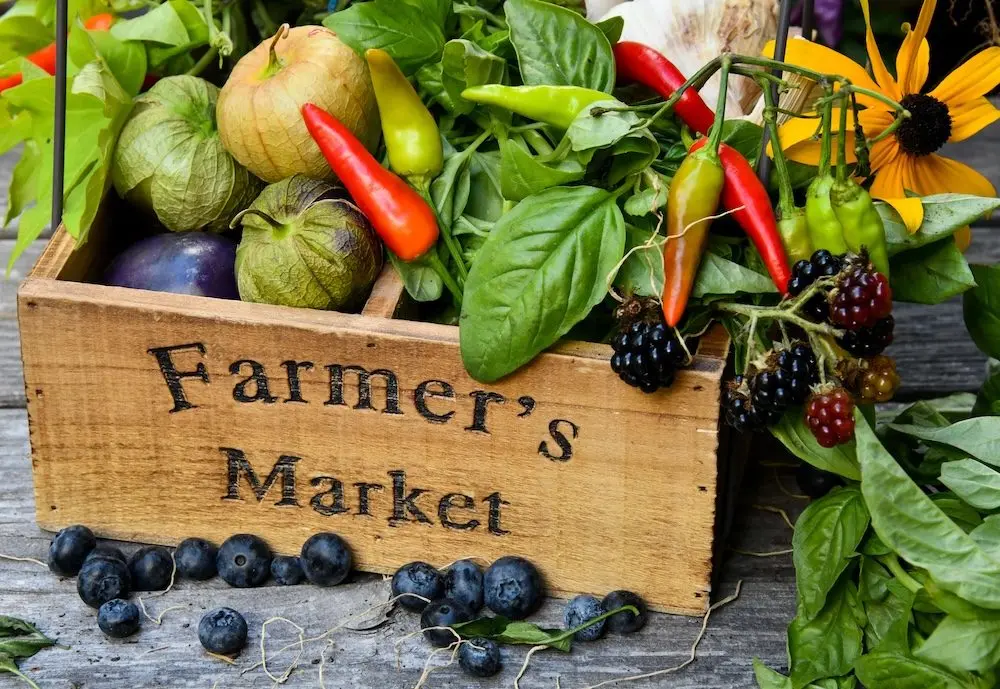 farmers-market-2