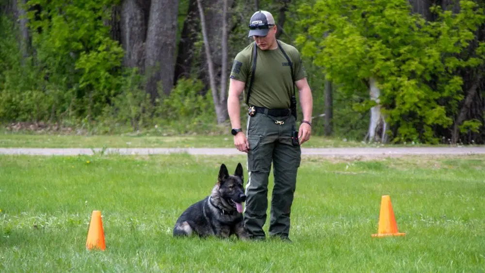 k-9-training