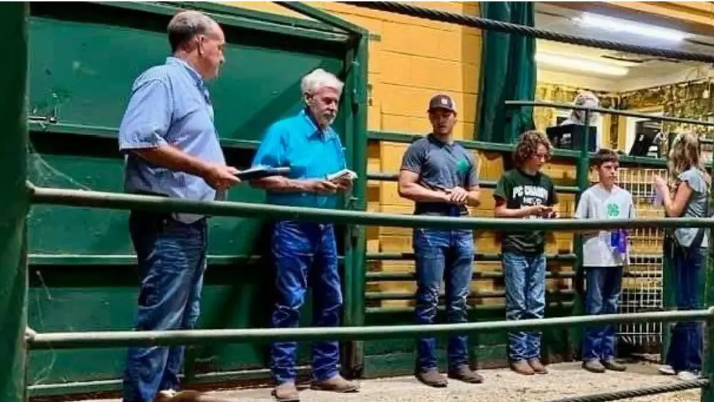cattle-feeder