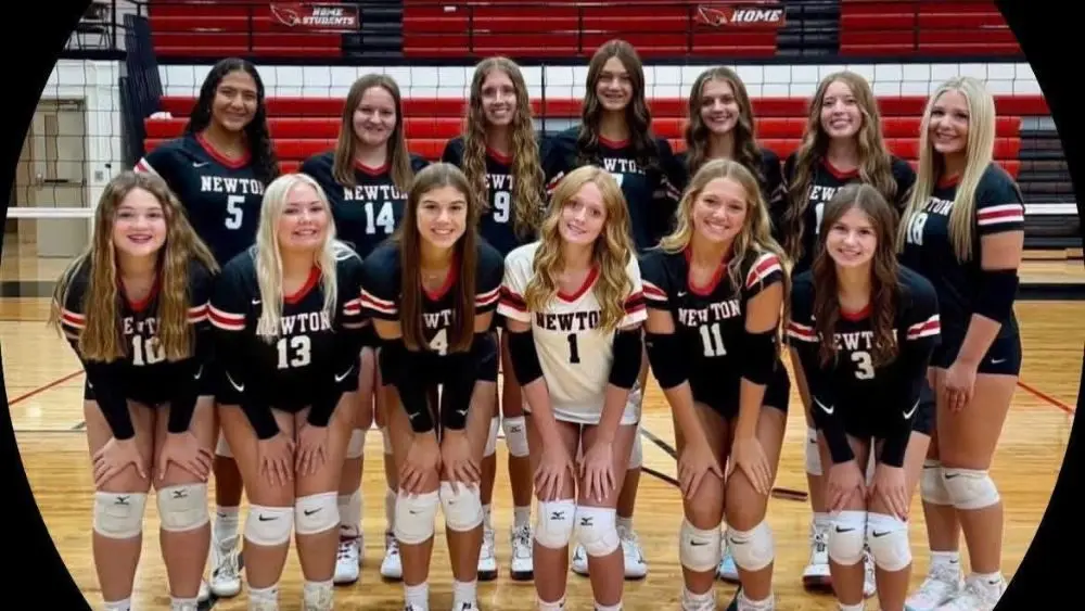 newton-volleyball
