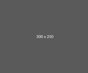 banner-300-x-250