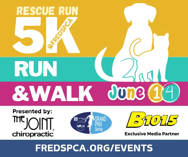 rescue-run-2026-600-x-500-px