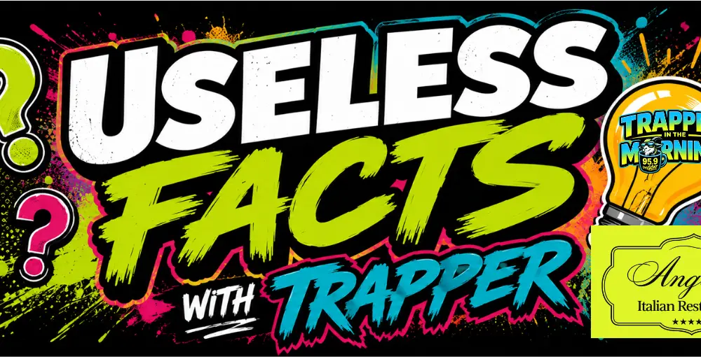 useless-facts-with-trapper-2
