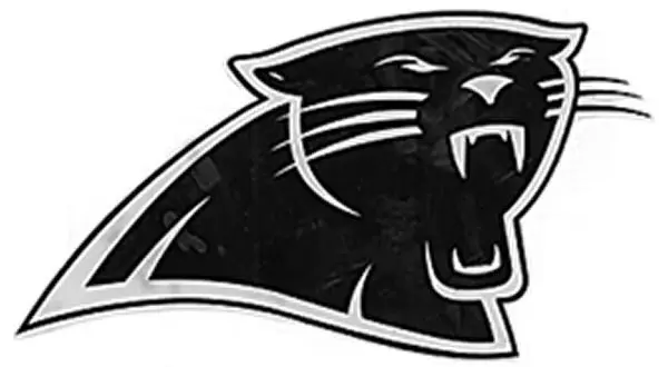 wireready_10-05-2019-12-04-03_00076_yspantherlogo
