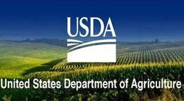 6 area communities receiving funding through USDA grants | KTLO