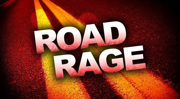 wireready_11-02-2024-23-22-03_00009_roadrage