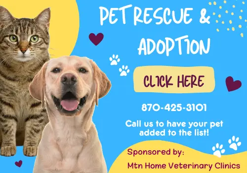 petrescue-1