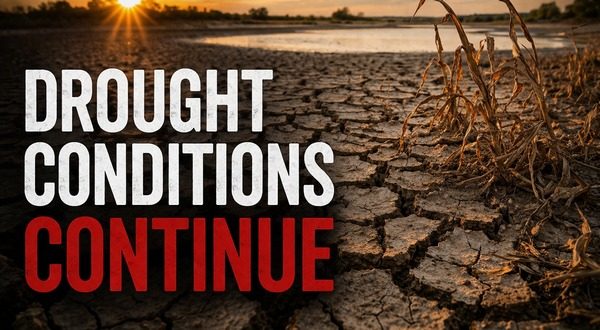 Recent rain not enough to alleviate drought conditions, not much relief ...