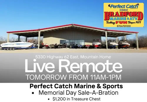 remote-4