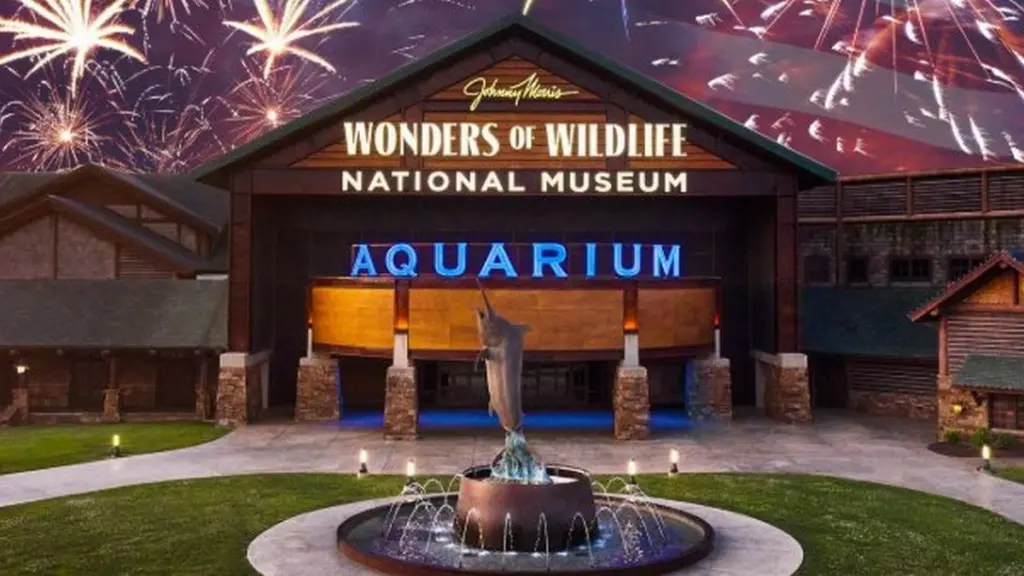 wireready_05-20-2026-18-00-17_08773_johnnymorrisaquarium