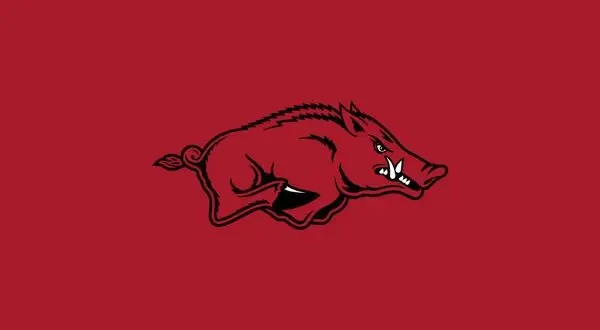wireready_07-07-2026-11-20-12_09780_razorbacks5