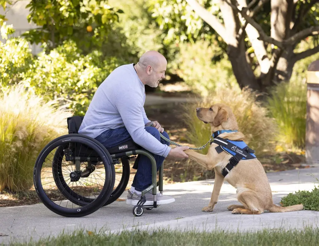 wireready_07-11-2026-10-20-54_09933_caninecompanionsdisabilitypridepromo