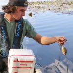 Nighttime Catfishing Offers Relief from Summer Heat