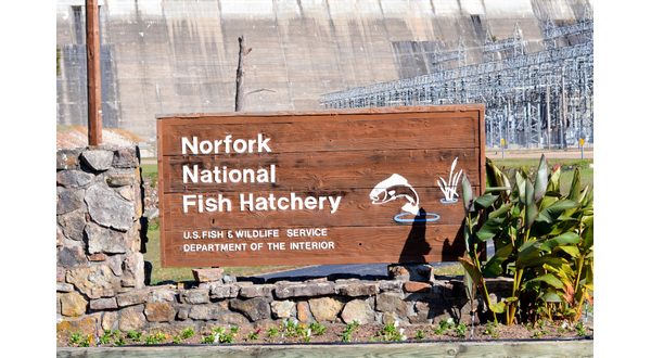 Norfork Hatchery Outdoor Adventure set for Saturday | KTLO