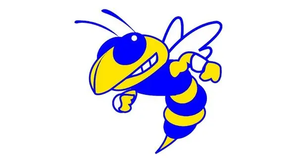 Mountain View defeats Salem in 3A-2 conference football | KTLO