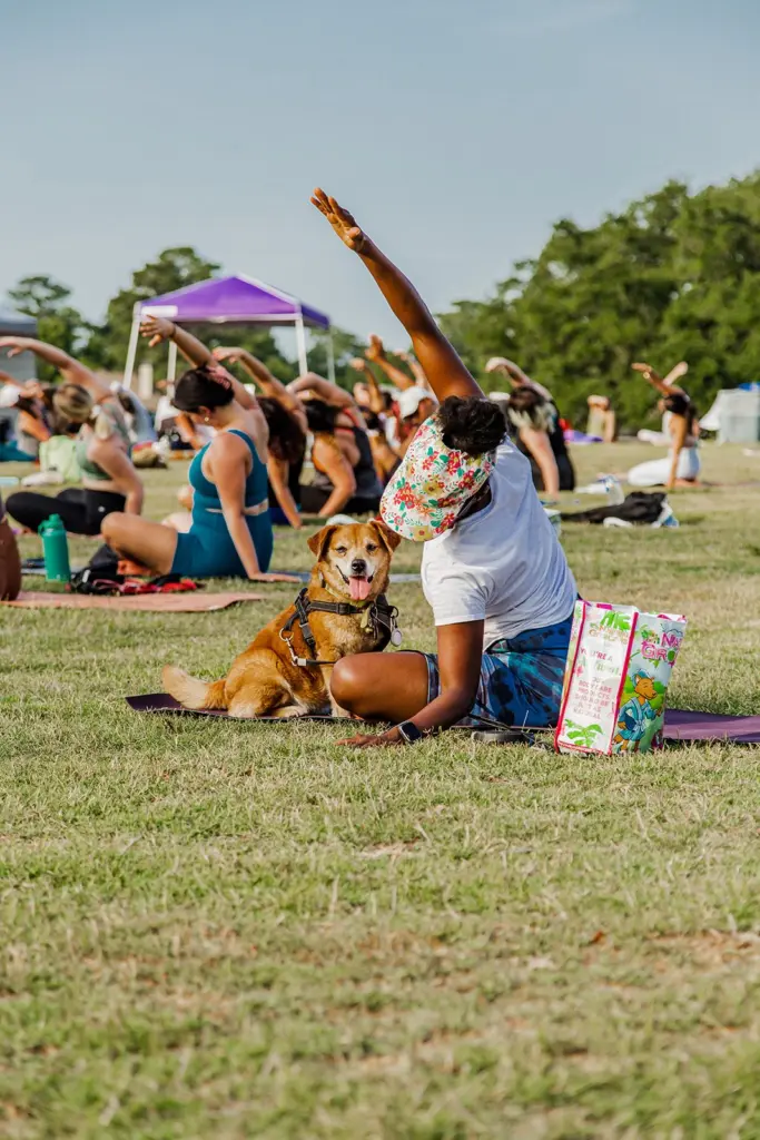 international-day-of-yoga