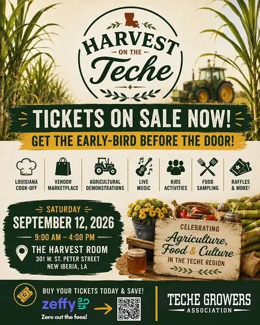 harvest-on-teche26