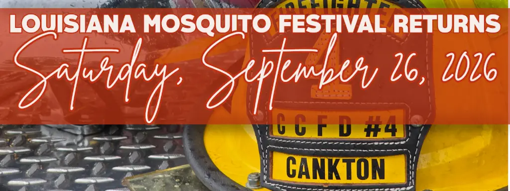 mosquito