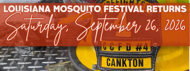 mosquito