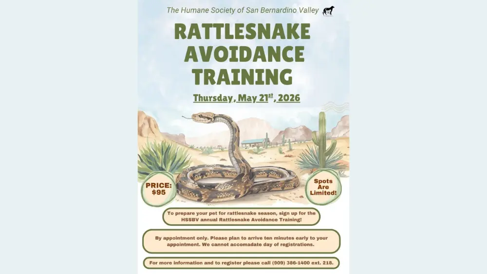 snake1000x563