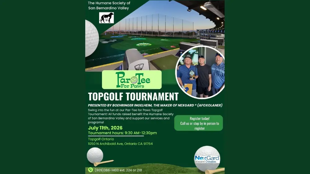 golf1000x563