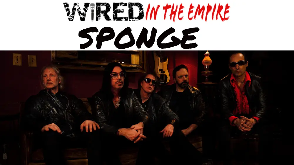 sponge-kcal