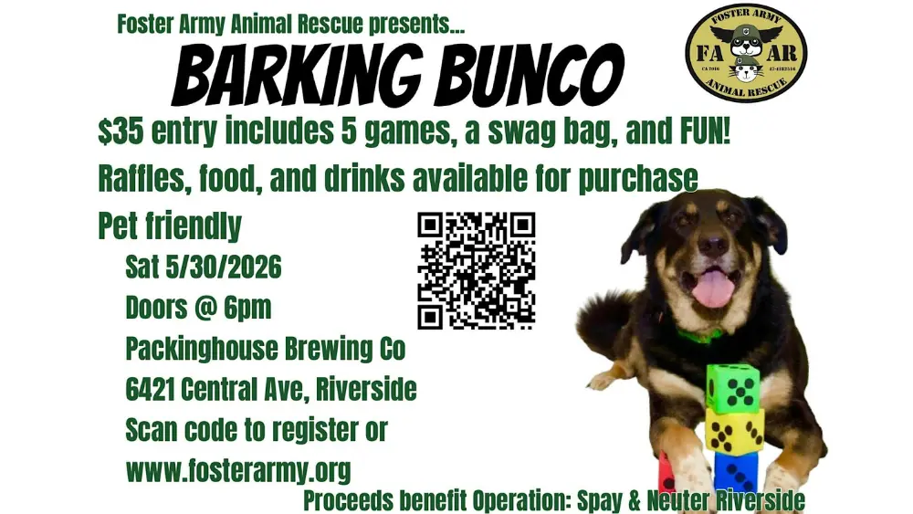 bunco1000x563