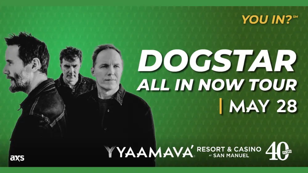 dogstar1000x563