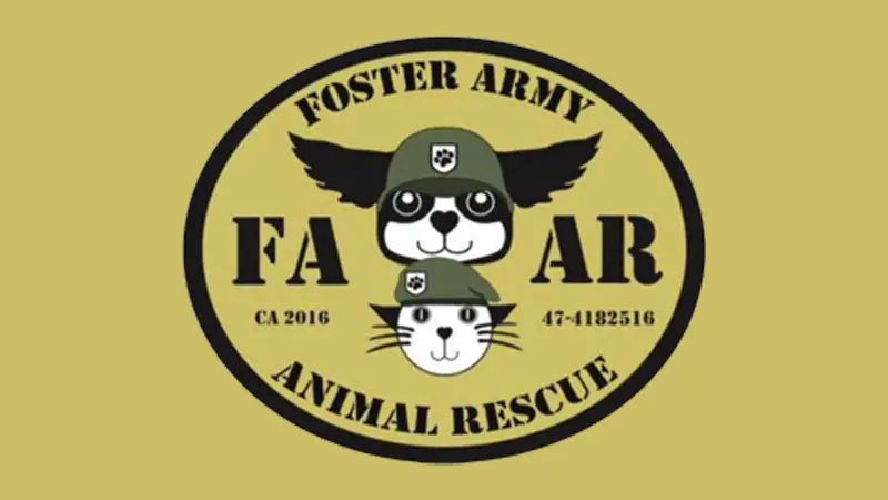 faar-yellow