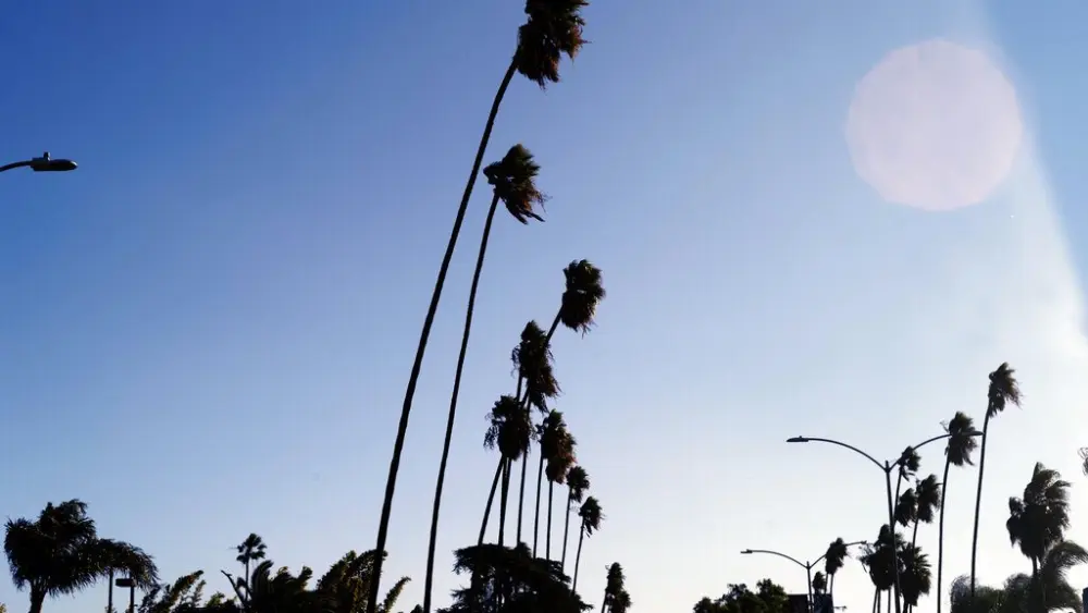 santa-ana-winds