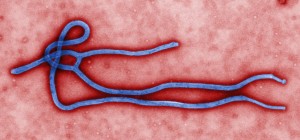 Courtesy: Centers For Disease Control And Prevention