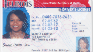 illinois_drivers_license