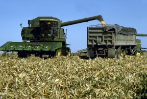 Corn being harvested by this combine will be used to make Ethanol.