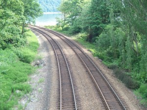 Twin_track_of_train_rails_in_a_wooded_area