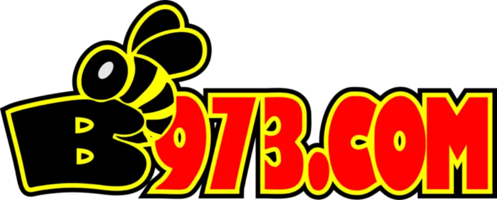 b973