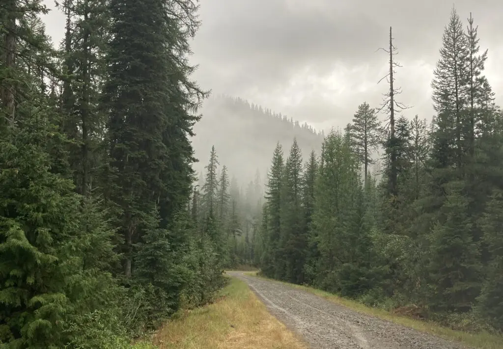 U.S. Forest Service announces emergency logging project over 5 million ...