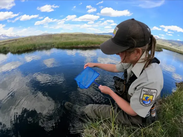 usfwsbiologist-1024x768-2975341