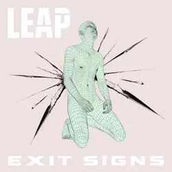 leap-dd-feature-pic