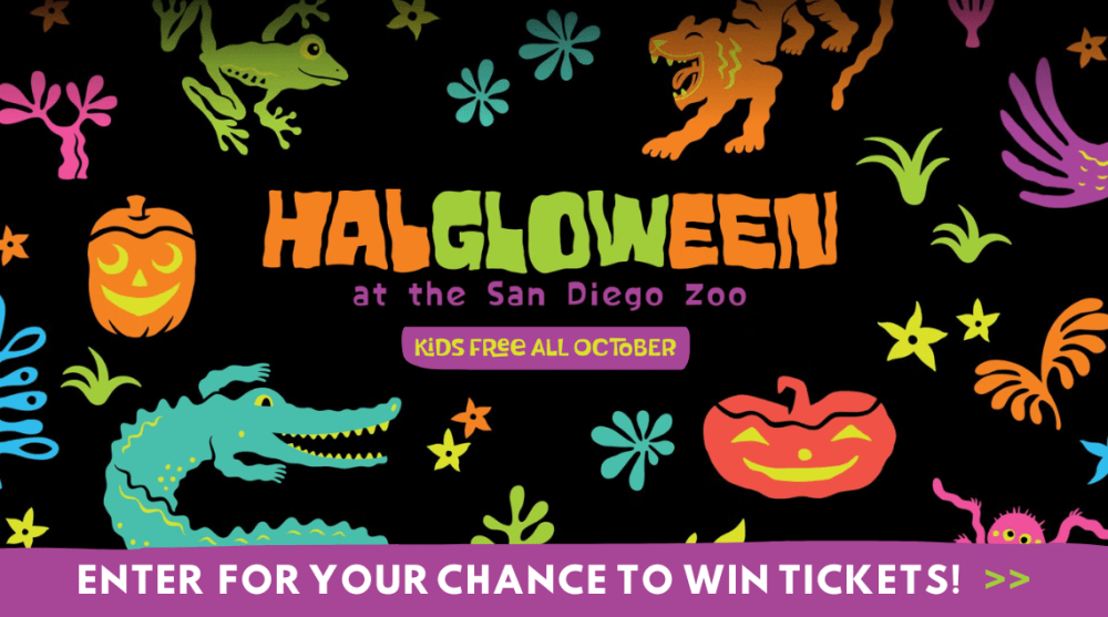 Q95 San Diego Zoo’s Hal-GLOW-ween – KCAQ – Q95.9 FM