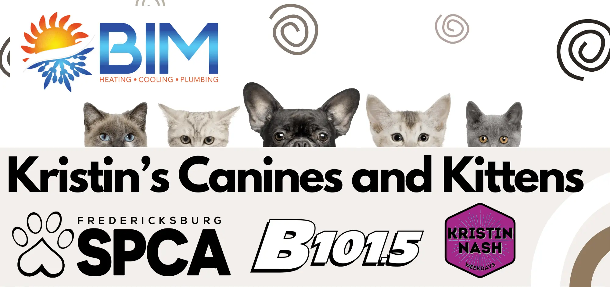canines-and-kittens-image-1