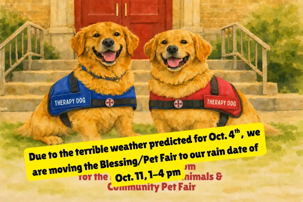 final-image-for-103-rain-date