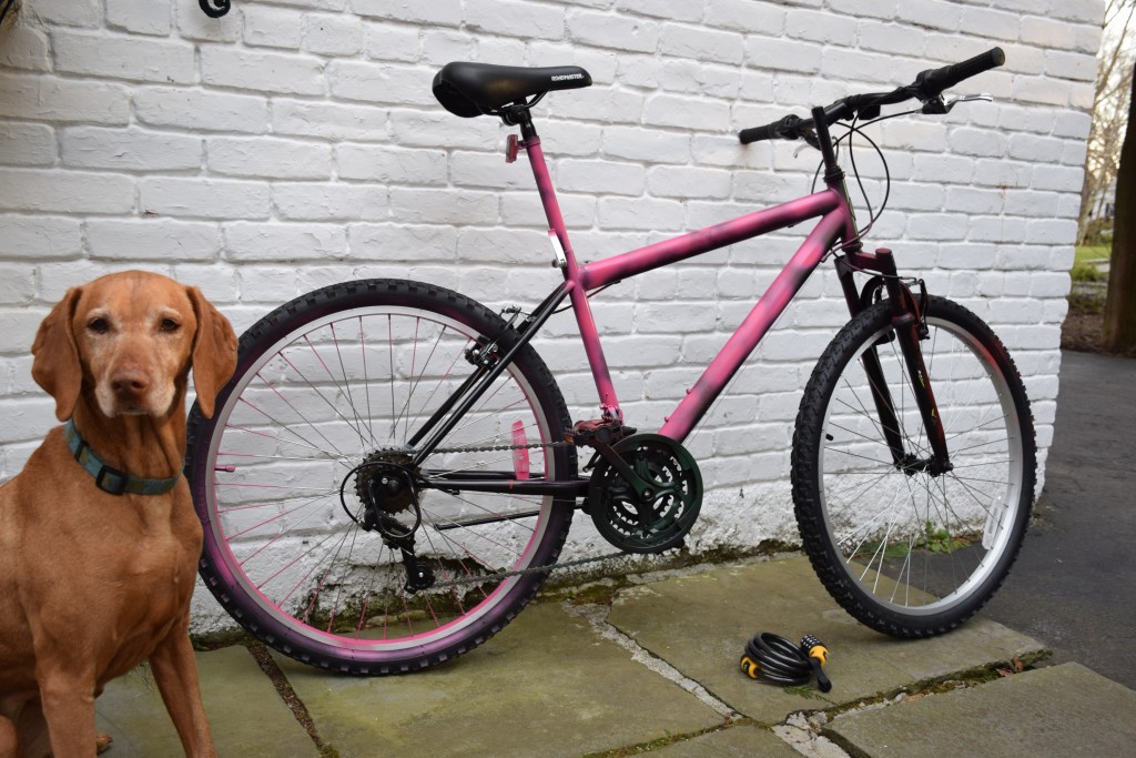 Greenwich resident Stephen Kilcullen spray painted his bicycle a bright pink color after a string of bike thefts at local Metro-North railroad parking lots. (Contributed Photo)