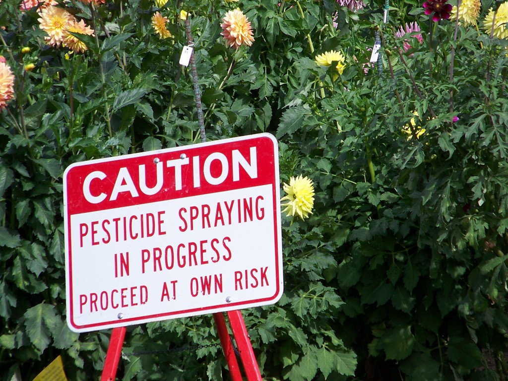 Warning signs of pesticide use can often be found on the grounds of homes that use insecticides and others. (Flickr)